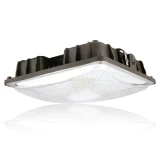 LED Canopy Area Style Light - 60W 8000 Lumens 5000K Daylight 1