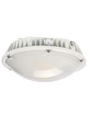 LED Garage Style Light – 65W 8000 Lumens 4000K Daylight