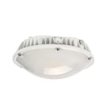 LED Garage Style Light - 65W 8000 Lumens 4000K Daylight